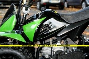 Cobra 2 Maxi Kinderquad 50ccm 2-Takt Pocktquad mit Fernbedienung und Drossel